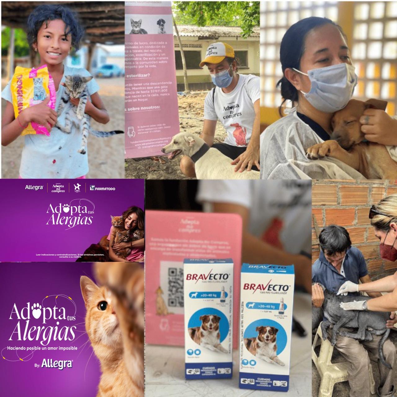 imagenes de avance gracias a marcas