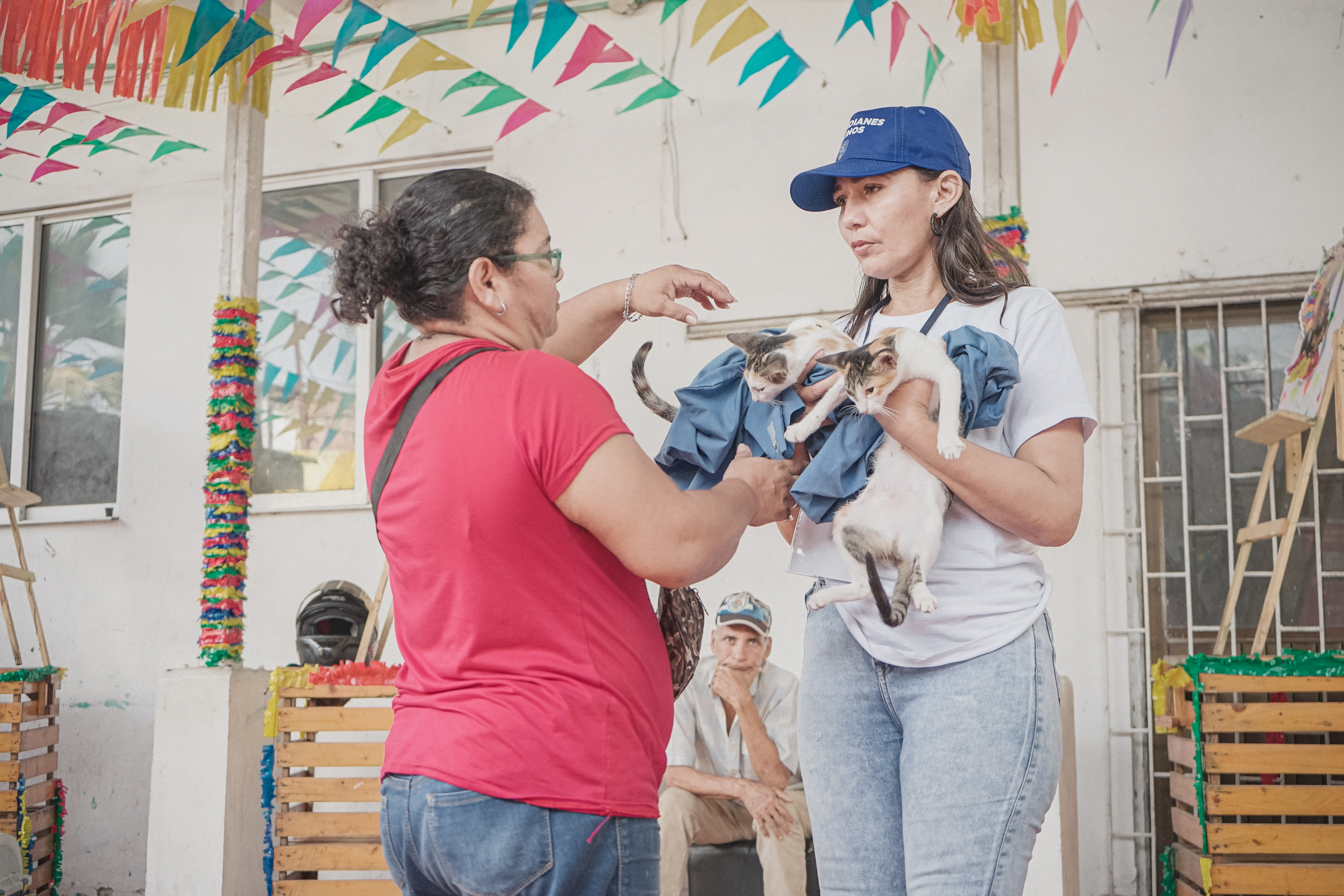 Jornadas de esterilización alimentación Colombia Bogotá Malambo Ciudad Bolivar Altos de Cazuca Boyacá Gato perro Gatos Perros castración educar tenencia responsable amor animales de compañía