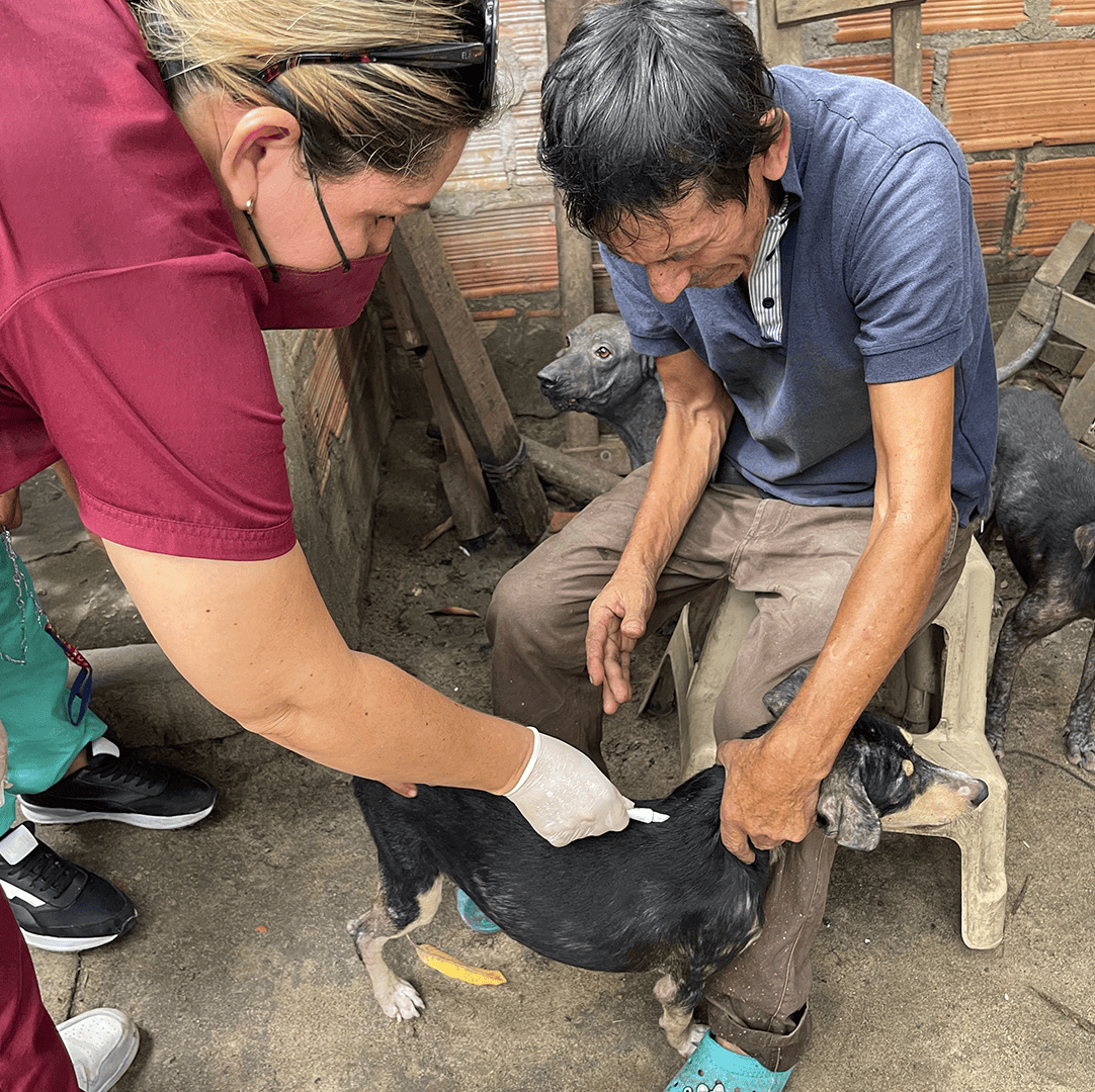 Niña bebiendo agua limpia