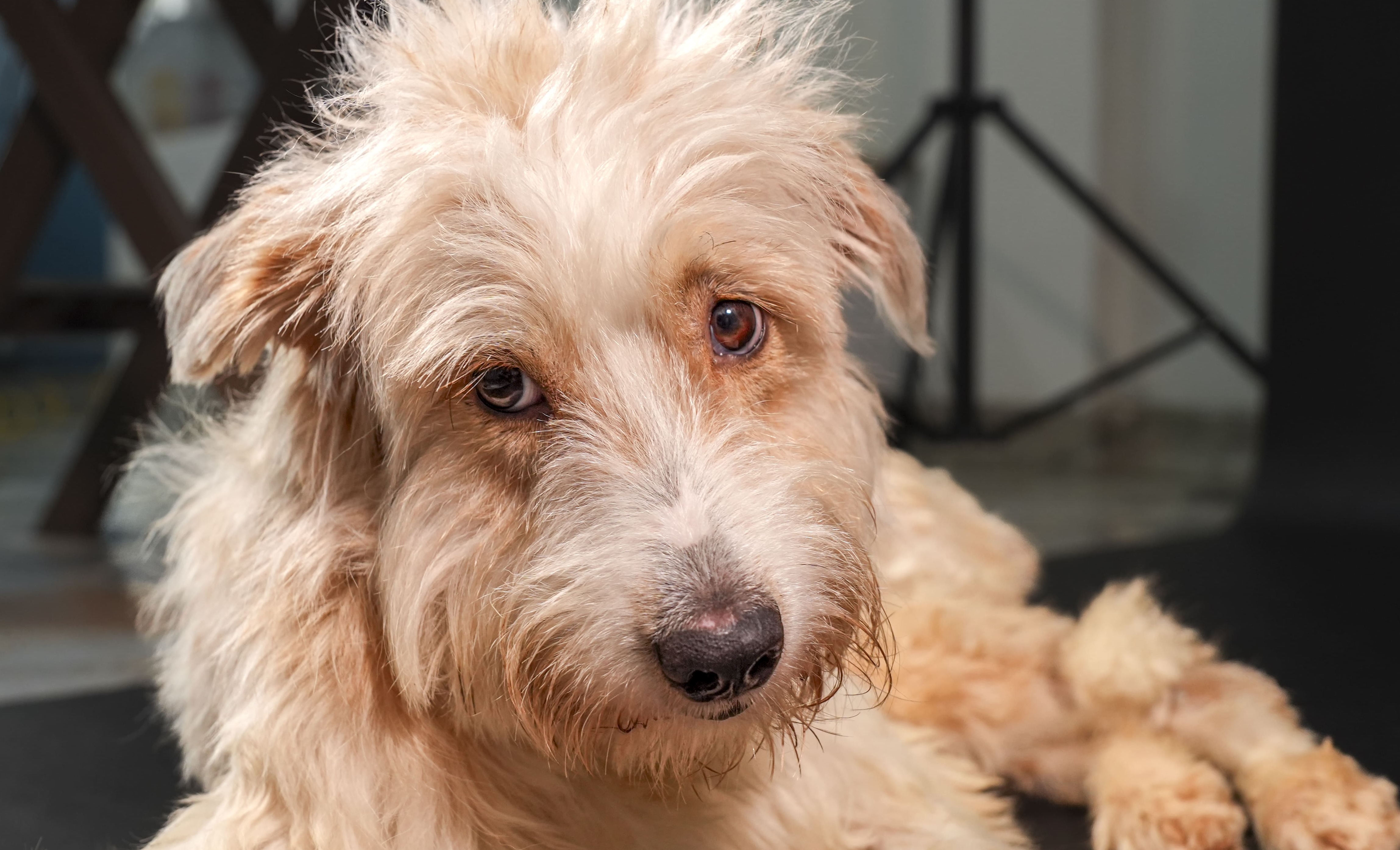 header home donacion